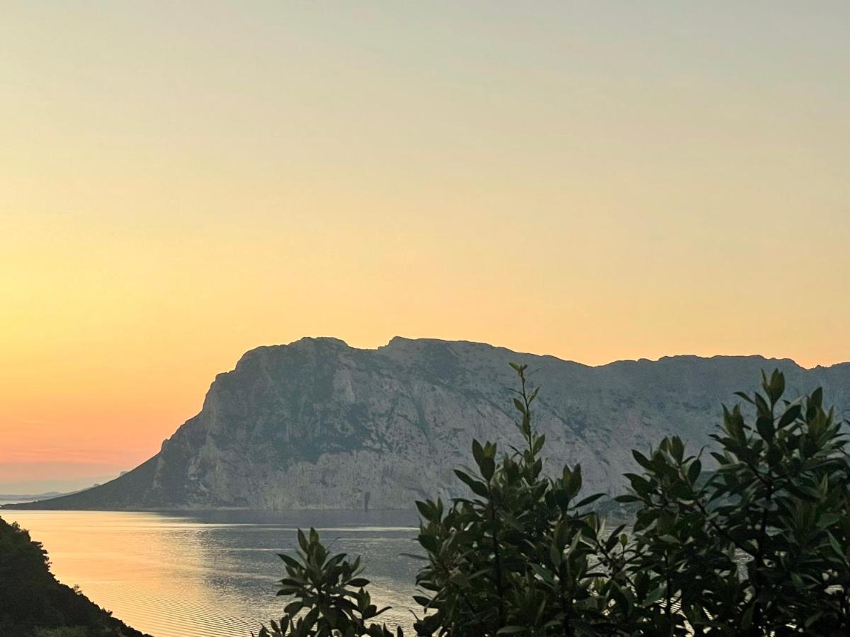 Apartamento San Teodoro Punta Est Delizioso Monolocale Vista Mare Exterior foto