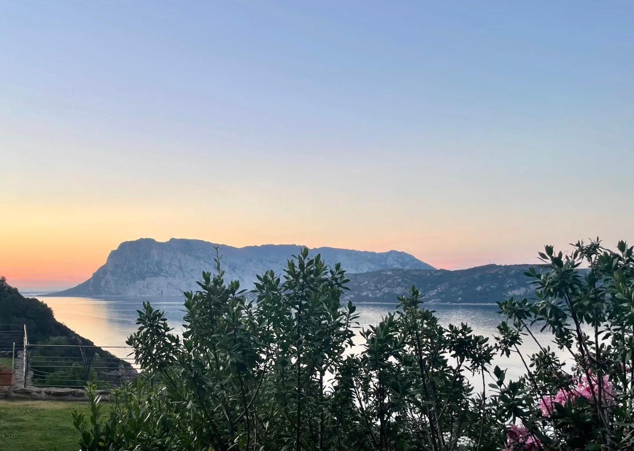 Apartamento San Teodoro Punta Est Delizioso Monolocale Vista Mare Exterior foto