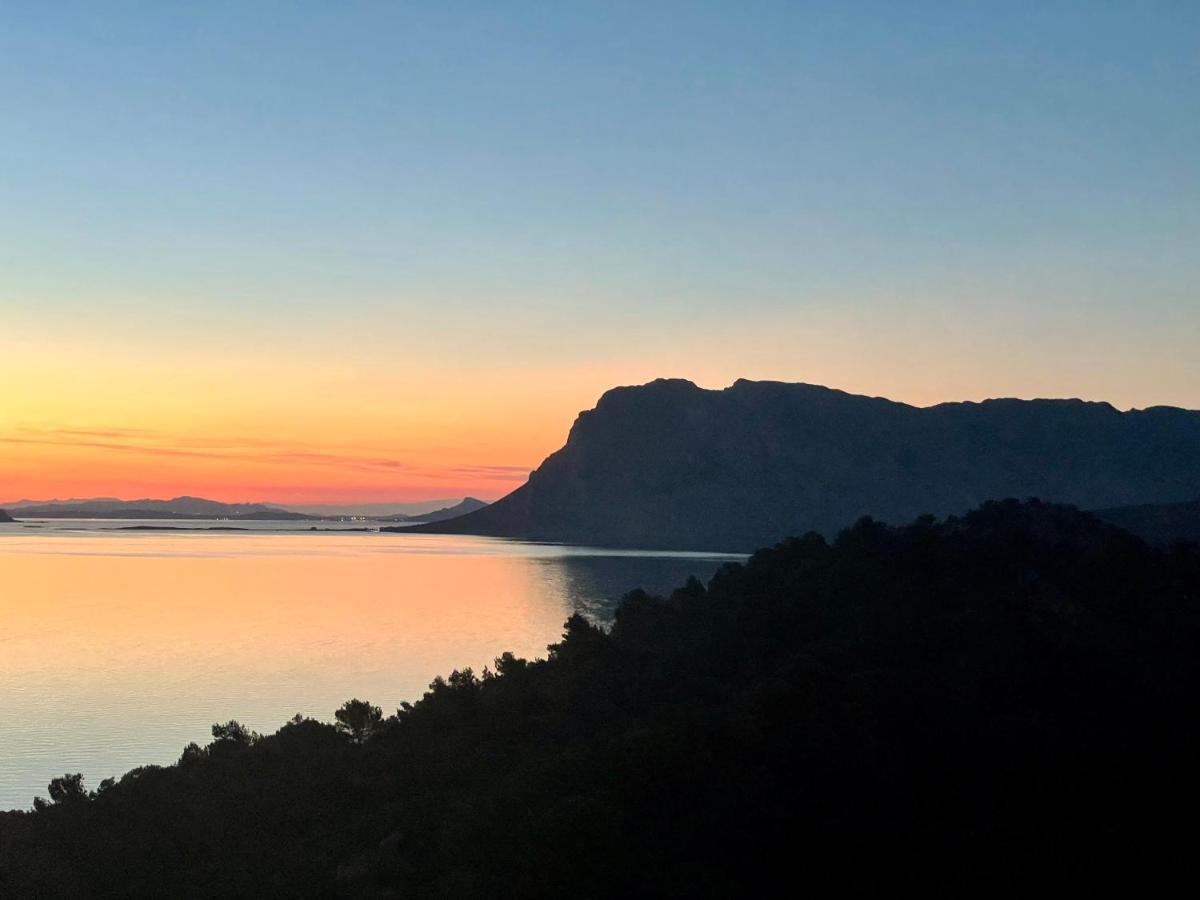 Apartamento San Teodoro Punta Est Delizioso Monolocale Vista Mare Exterior foto