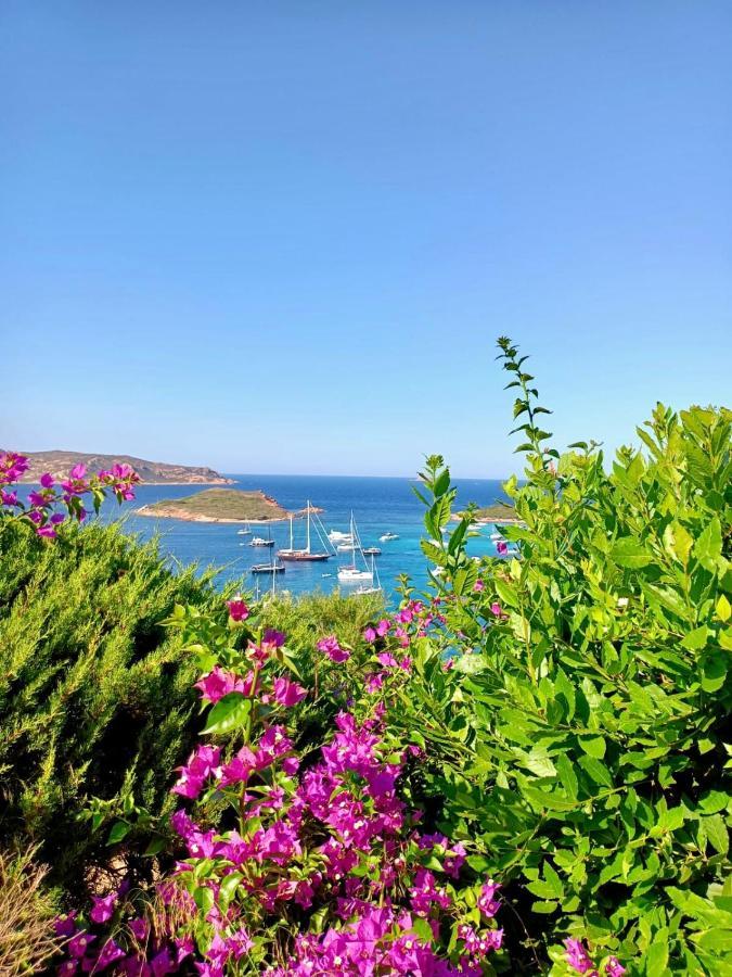 Apartamento San Teodoro Punta Est Delizioso Monolocale Vista Mare Exterior foto